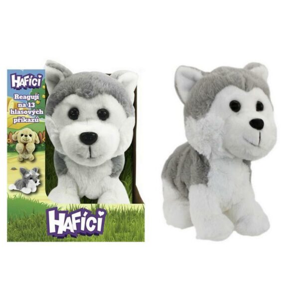 Hafíci Maxík husky